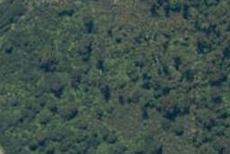 0 Arawata, Jackson Bay, Haast
