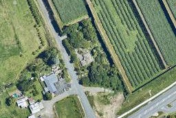 12A Prole Road, Omokoroa, Ōmokoroa