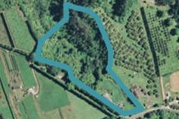 228 Williams Road North, Pyes Pa, Tauranga