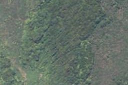 0 Limestone Road, Cape Foulwind, Cape Foulwind