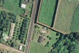 205 No 1 Road, Te Puke, Te Puke