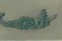 0 State Highway 31, Kaiwhai Island