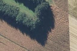 25A Pahou Pa Road, Poroporo, Whakatāne