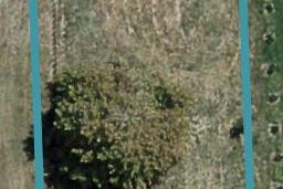 14 Whangaehu Place, Awatoto, Napier