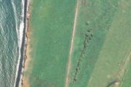 349 Porikapa Road, Warea