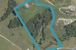 379 Taylor Road, WELLSFORD, Wellsford