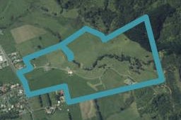1305 Tiki Sh25 Road, COROMANDEL, Coromandel