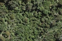 41F Tiri View Road, Palm Beach, Waiheke Island