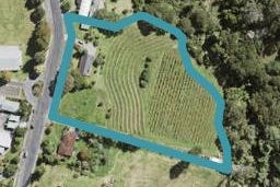 16 Shaw Road, Oratia, Auckland