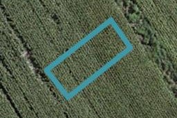 65 Mutetai Road, Clarks Beach, Clarks Beach