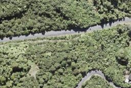 0 Te Henga Road, Waitakere, Auckland