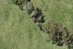 137 Argento Avenue, Flat Bush, Auckland