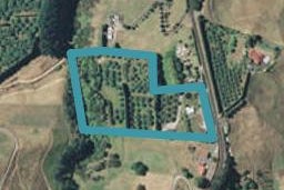 278 Youngson Road, Whakamarama, Tauranga