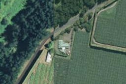 175A Brown Road, Te Puke, Te Puke