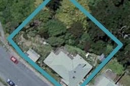 60 John Sims Drive, Broadmeadows, Wellington