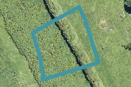 179 Adler Drive, Ohauiti, Tauranga