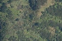 0 Te Touwai Road, Kaeo, Kaeo