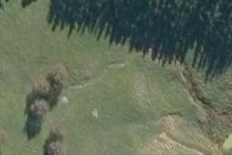 0 Rusk Road, Towai, Hikurangi