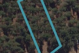 6 Stebbing Way, Alexandra, Alexandra