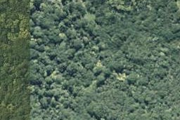 0 State Highway 35, Te Kaha, Te Kaha