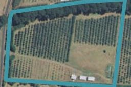 31 Skeets Road, Upper Plain