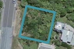145 Mitchell Street, Brooklyn, Wellington