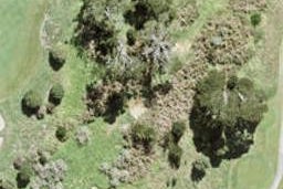 63 Ta Moko Drive, GULF HARBOUR, WHANGAPARAOA