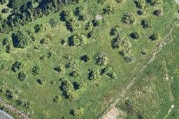 0 Tui Glen, Omokoroa, Omokoroa