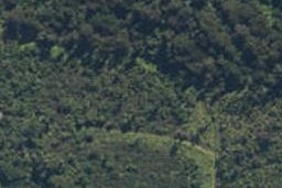 44 Stuart Street, Lake Kaniere, Kokatahi