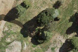 73 Te Napi Drive, Takanini, Auckland