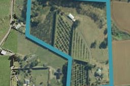 79 Jamieson Road, Buckland
