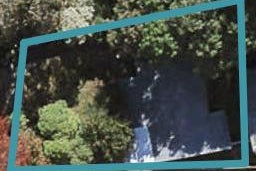 21 Rowan Road, Epsom, Auckland