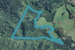 313A Woodland Road, Tahawai, Katikati