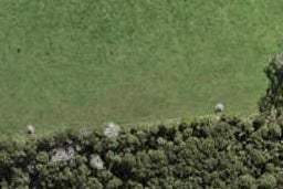 28 Te Aniwaniwa Terrace, Albany, Auckland