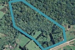 484 Lockington Road, Aongatete, Aongatete