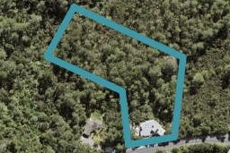 164 Elmore Road, Albany