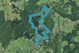 2252 State Highway 29, Lower Kaimai, Tauranga