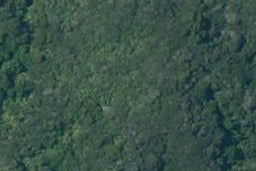 0 Whaanga Road, Raglan, Raglan