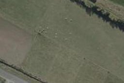0 Petticoat Lane, Doyleston, Doyleston