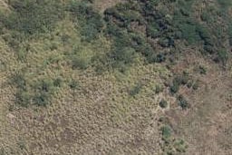179 Cumberland Drive, Flagstaff, Hamilton