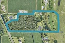 172 Keenan Road, Pyes Pa, Tauranga