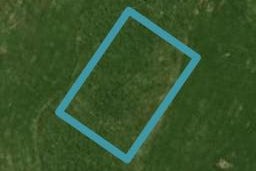22 Kapiakauri Road, One Tree Point