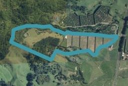 1031B State Highway 2, Tanners Point, Katikati