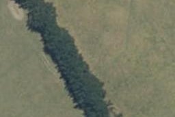 41 Te Whaiti Road, Te Kauwhata, Te Kauwhata
