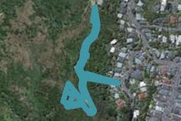 26 Ara Paekawakawa, Island Bay, Wellington