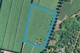 158 Gridley Road, Rangiuru, Te Puke
