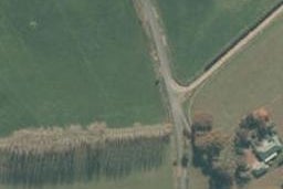 120 Taane Road, Maungatautari, Cambridge