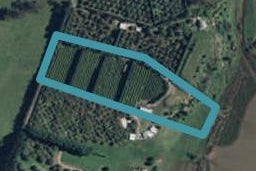252E Kauri Point Road, Tahawai, Tahawai