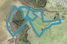 0 Mangatawhiri Road, Tawharanui Peninsula, Matakana