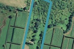 61 Strang Road, Te Puke, Te Puke